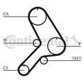 CONTINENTAL CTAM Zahnriemen  für FIAT