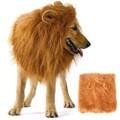 Großer Hund Löwenmähne Perücke Ohren Cosplay Kostüm Halloween Kleidung DE U7C1