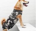 Hunde  OP  Genesungsbody Postoperativ Body  Schutzabdeckung  Hundebody