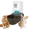 XXL 8 Liter Wasserspender Futterspender 2in1 Hunde Katzen Futter Wasser Automat 