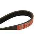 Keilrippenriemen DAYCO 5PK1130