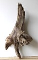 Treibholz Schwemmholz Driftwood  1 XXL  Wurzel Dekoration Terrarium 71 cm