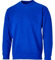 Flammhemmendes Protal inhärentes antistatisches Sweatshirt royalblau FRA205