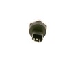 BOSCH 0 261 230 348 Sensor, Kraftstoffdruck für Bmw