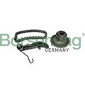 1x Kettensatz, Ölpumpenantrieb Borsehung B10218 passend für AUDI SEAT SKODA