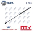AE-PL-038 GASFEDER DÄMPFER HECKKLAPPE HINTEN NTY 2PCS FÜR OPEL ADAM