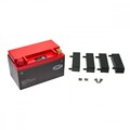 Lithium Ionen LiFePo4 Batterie HJTX14H-FP 12V für Aprilia RSV 1000 Mille 98-03