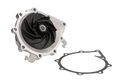 THERMOTEC Wasserpumpe WP-MN133 für MAN HOCL/LION'S CITY/COACH/NG/NL/SL/TGA/TGX