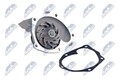 NTY Wasserpumpe CPW-NS-073 passend für NISSAN RENAULT SUZUKI