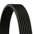 CONTINENTAL CTAM Keilrippenriemen  u.a. für HONDA, HYUNDAI, KIA, LANCIA, NISSAN