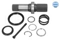 Steckwelle Differential MEYLE 100 498 0252 für VW TRANSPORTER T5 Bus 7HB 7HJ 7EB