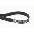CONTINENTAL CTAM Keilrippenriemen 6PK1070