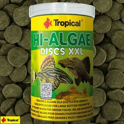 (27,80€ / L) Tropical Hi-Algae Discs XXL 1L (1000ml) Welsfutter Futtertabletten