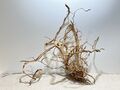 Drachenwurzel, Curl Wurzel, Aquarienwurzel Ähnlich Mangrove #2527 65x25x58cm