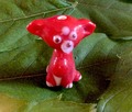 WITZIGE LAMPWORK PERLE  -  GLAS CHIHUAHUA SOLITÄR XL (21/5)