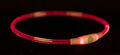 Trixie Leuchthalsband Hund LED-USB Leuchtschlauch Hundehalsband div. Farben!