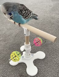 Rotierendes Vogel Sitzstange Spielzeug für kleine - mittlere Vögel, Vogelständer Spielzeug mit Glockenbällen
