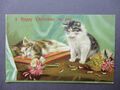 Katze Postkarte Frohe Weihnachten Gruß Tabby Katzen & Chrysanthemen 1908 beliebt