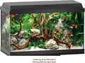 Juwel Primo 60 LED Aquarium Set schwarz