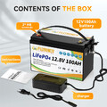 12V 100Ah LiFePO4 Lithium Batterie Akku Solaranlage Wohnmobil BMS Solarbatterie