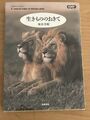 Japanisches Buch über Tiere in Afrika  „A Natural Order of African Plain”