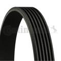 CONTINENTAL CTAM Keilrippenriemen für VW Polo Lupo Seat Arosa Ibiza III