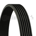 CONTINENTAL CTAM 6PK2460 Keilrippenriemen für AUDI,CADILLAC,CHEVROLET,CHRYSLER,D
