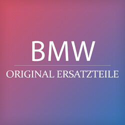 Original BMW MINI BMW I X1 X5 X6 Cooper JCW Systemschloss rechts 51217281938