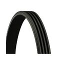 1x Keilrippenriemen CONTINENTAL CTAM 4PK665 passend für ALFA ROMEO CHRYSLER