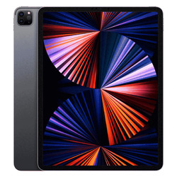 Apple iPad Pro 12.9" 2021 (5. Generation) 256GB Space Grau Wi-Fi + Cellular Gebr
