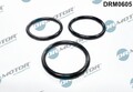 Dichtung Wasserpumpe für Fiat Ford Peugeot Dr.motor Automotive Drm0605 2006 ->