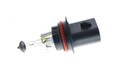 1x VEMO HB5 Glühlampe Fernlicht 12V 60/55W PX29t Halogen V99-84-0085