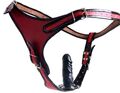 BDSM Leder Slip mit Dildo Penis Strap On mit Latex Dildo Analplug rot