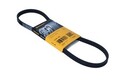 Keilrippenriemen CONTINENTAL CTAM 4PK841