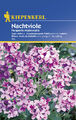 Kiepenkerl " Nachtviole  Stark duftende Wildblume zweijährig ca. 40 Samen Blumen