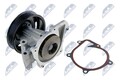 Wasserpumpe Motorkühlung NTY CPW-FR-056 für DEFENDER TRANSIT FORD RANGER mit TKE