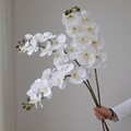 Kunstblume, ORCHIDEENZWEIG, künstliche Orchideenblüte, Orchidee 69cm