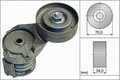 INA Riemenspanner, Keilrippenriemen  u.a. für SEAT, SKODA, VW