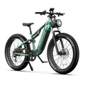 NEW Elektrofahrrad,48V 20AH E-Bike 26 Zoll Off Road E-Mountain Bike DUOTTS E26
