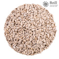 Boill Sonnenblumenkerne geschält, Premiumware - 10 kg. Lebensmittel zertifiziert