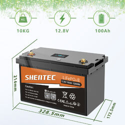 Bluetooth LiFePO4 Akku 12V 100Ah 150Ah Lithium Batterie mit BMS Solaranlage Boot