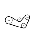 CONTINENTAL CTAM Keilrippenriemensatz 6PK1080K1 für SKODA VW SEAT AUDI