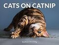 Cats on Catnip von Marttila, Andrew | Buch | Zustand sehr gut