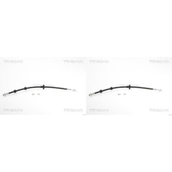 2X TRISCAN BREMSSCHLAUCH BREMSSCHLÄUCHE VORNE passend für LAND ROVER RANGE