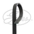 GATES Keilrippenriemen passend für VW Lupo 1.4 TDI Polo Seat Arosa TDi