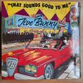 Jive Bunny And The Mastermixers – That Sounds Good To Me 12" RARE MASH-UP 1990