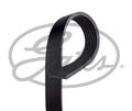 GATES (7PK990) Keilriemen, Keilrippenriemen für ISUZU