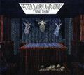 PETER BJORN AND JOHN - Living Thing - CD Album *NEU & VERSIEGELT* *Digipak*