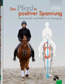 Das Pferd in positiver Spannung Biomechanik und Reitlehre in Bewegung Stammer