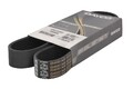 Für DAYCO DAY8PK1035HD V-ribbed Belt DAY8PK1035HD Multi-V-belt (8PK1035) fits: